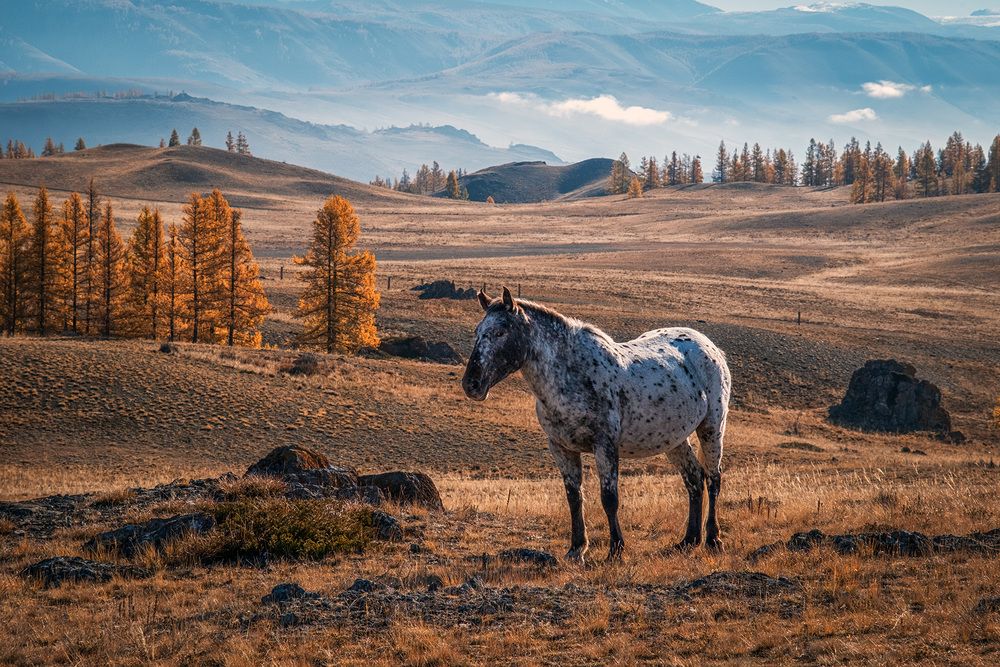 Photograph by Бодрягин Виталий