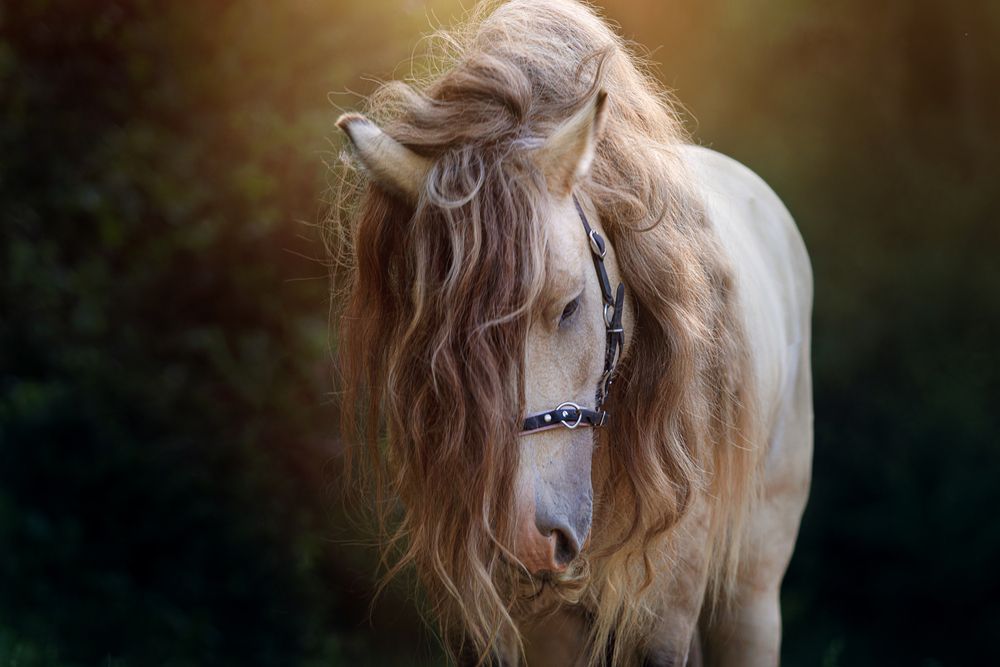 Photograph by Яна Нарбутович