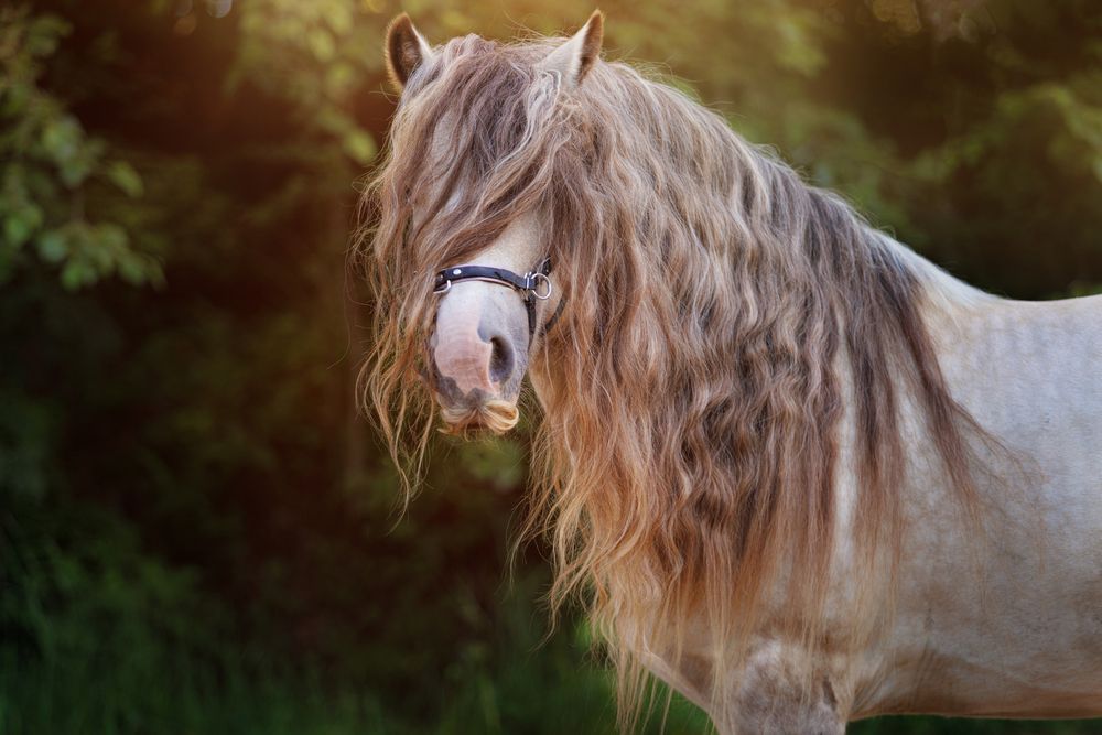 Фотография автора Яна Нарбутович