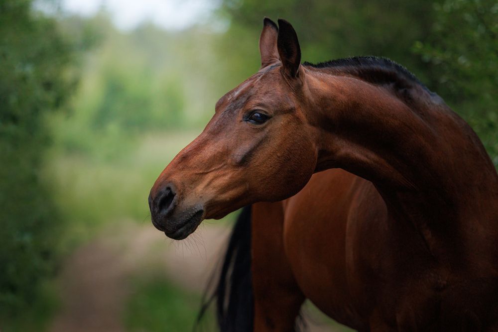 Фотография автора Яна Нарбутович