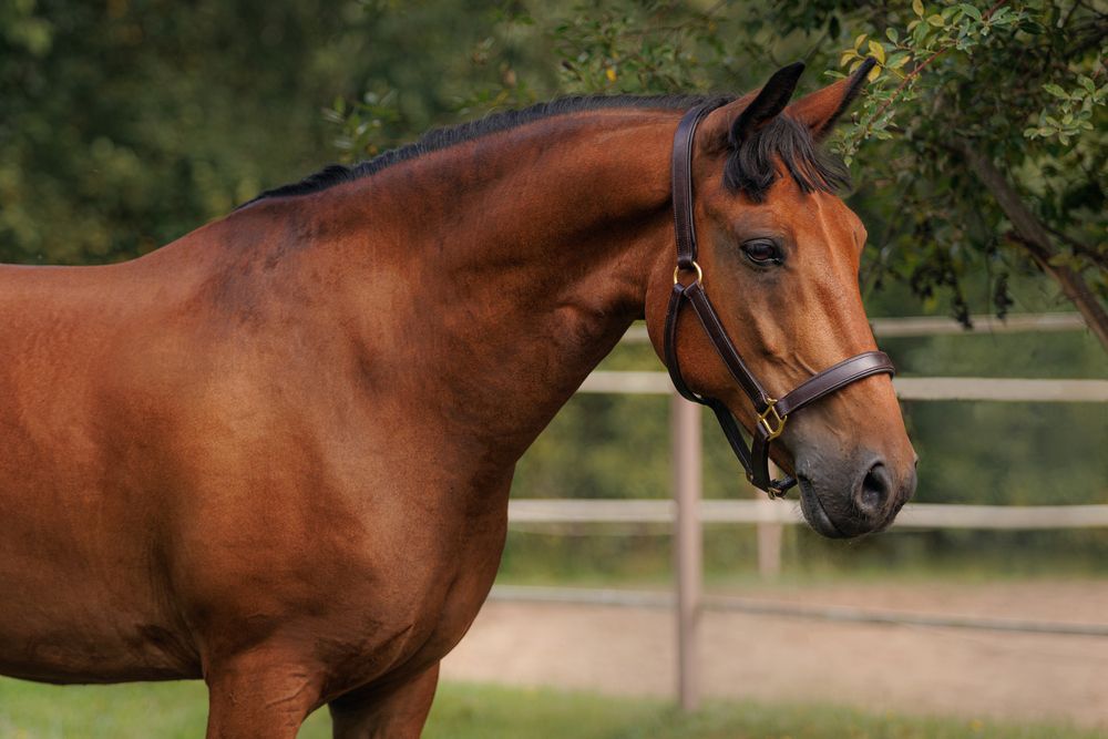 Фотография автора Яна Нарбутович