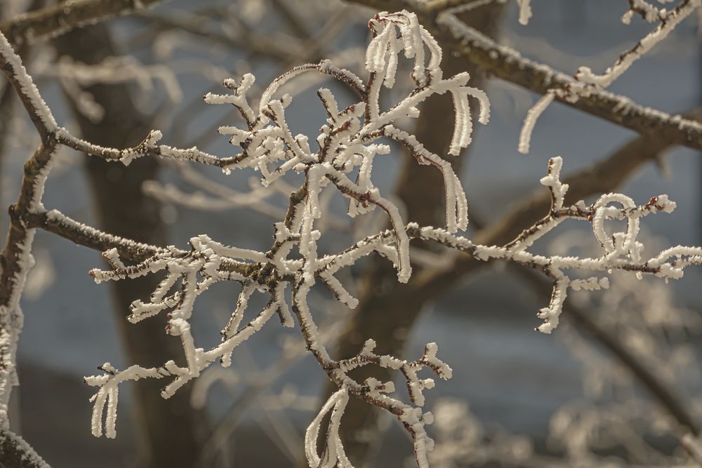 Photograph by Алфия Бугакова