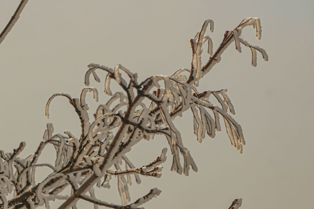 Photograph by Алфия Бугакова