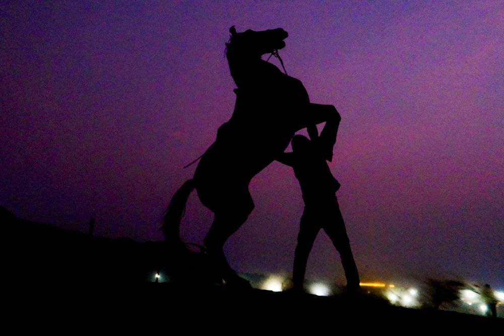 Photograph by Ashish patel