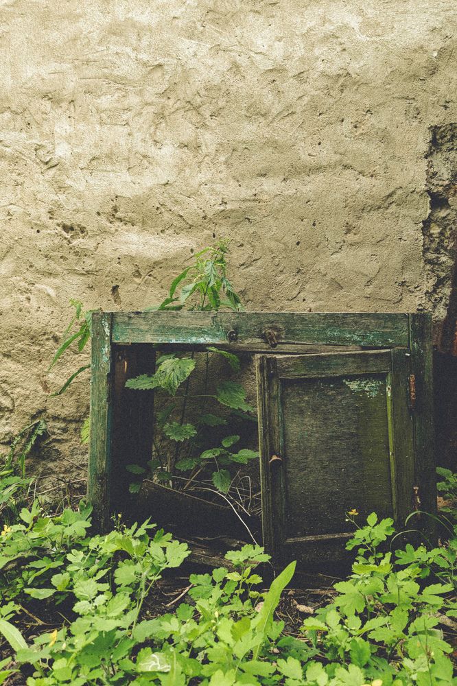 Photograph by Ольга