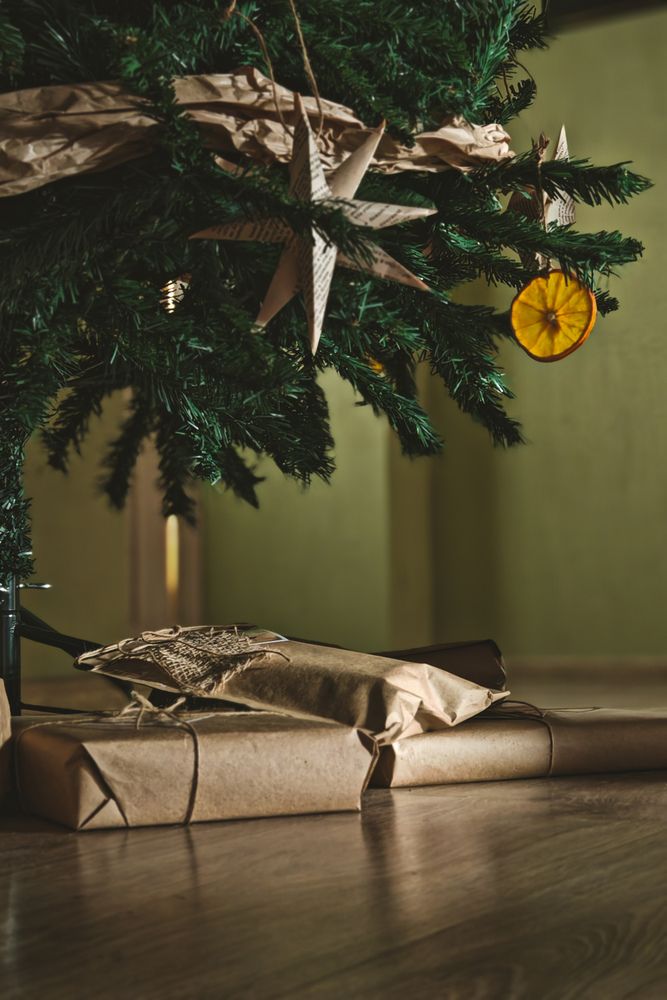 Фотография автора Ольга