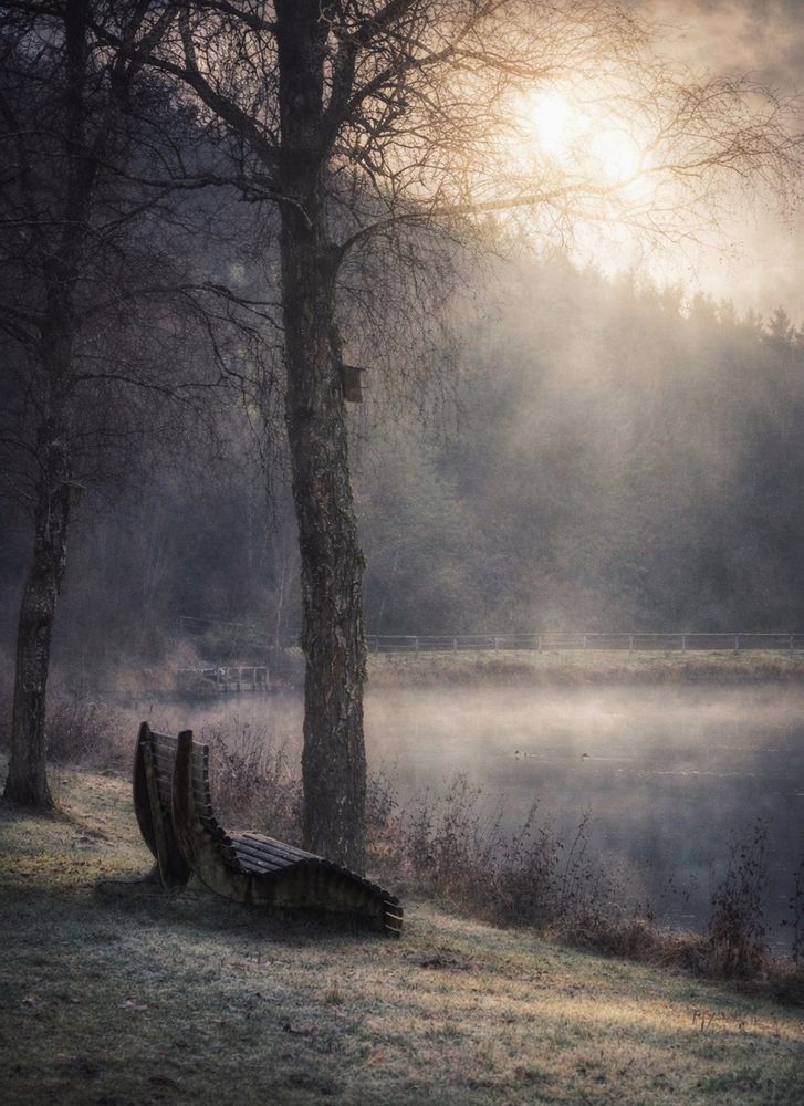 Where the Morning Lingers