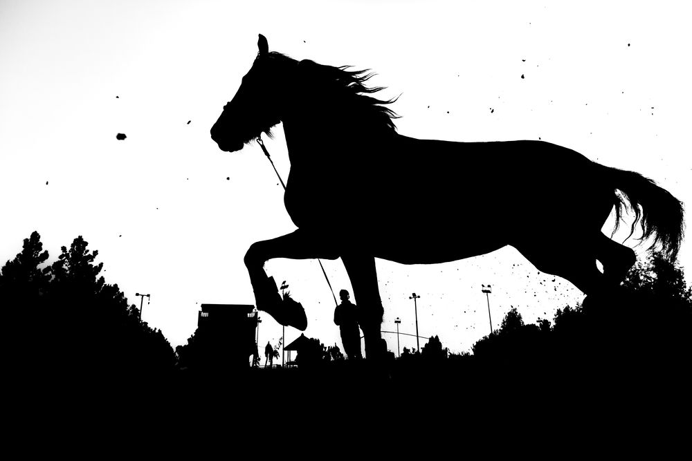 Photograph by Morteza pahang