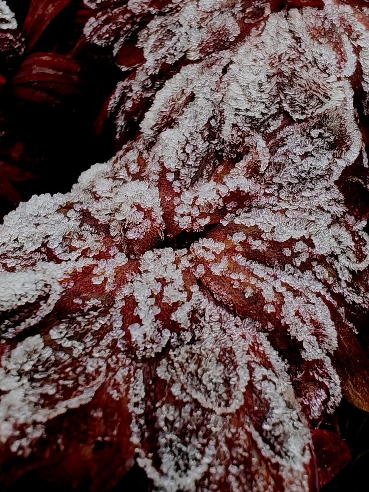 Photograph by Светлана Вергеенко