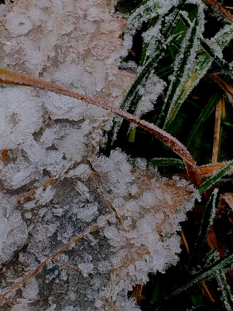 Photograph by Светлана Вергеенко