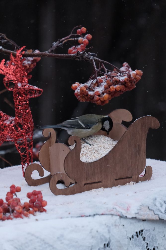 Photograph by Яна Истоцкая