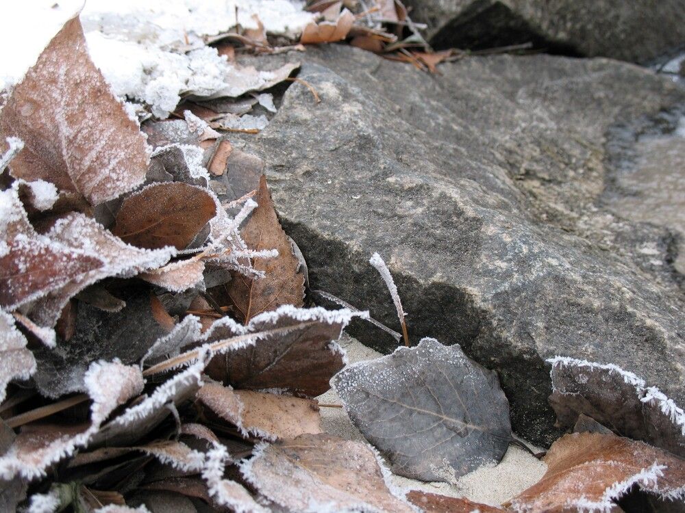 Фотография автора Евгений