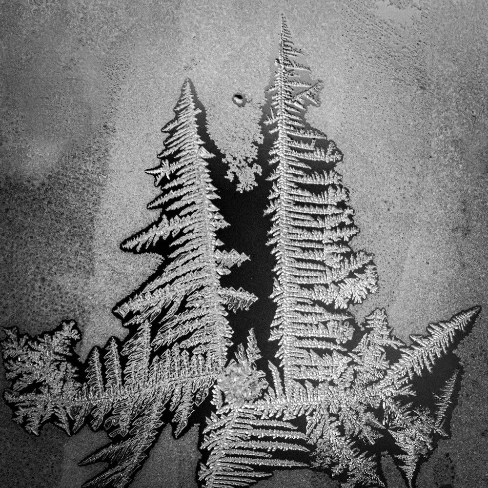 Photograph by Сергей Назаредский