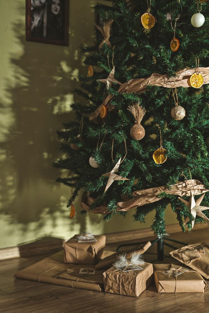 Фотография автора Ольга