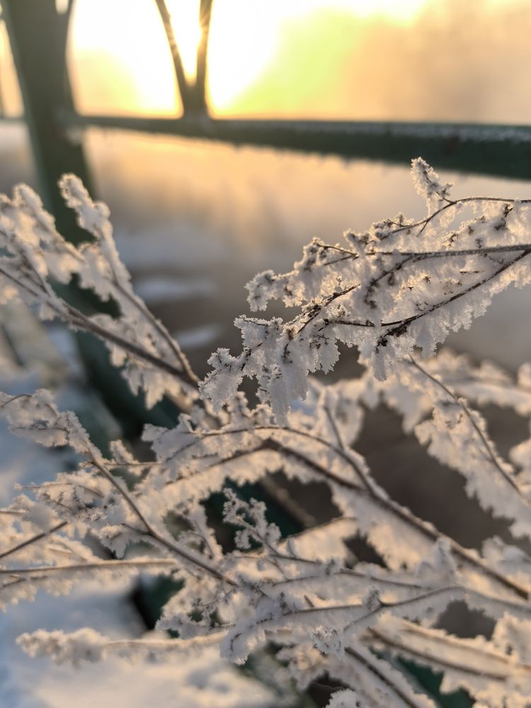 Фотография автора Лидия Жижина