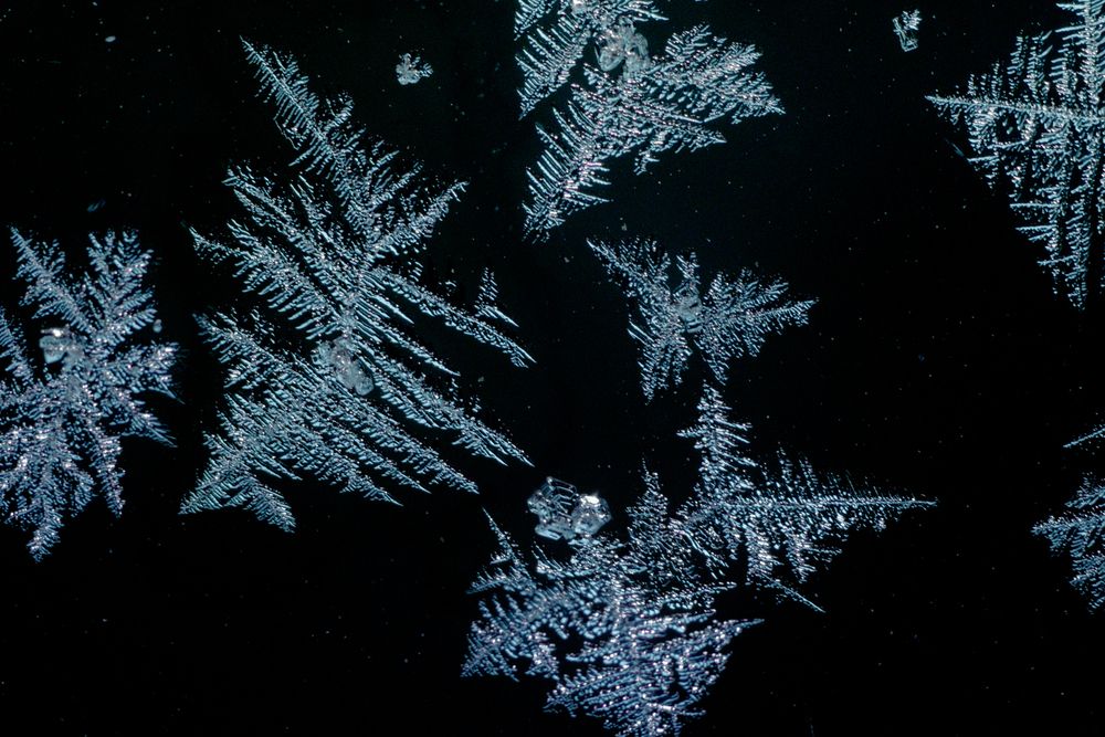 Photograph by Victoria Mogulyan