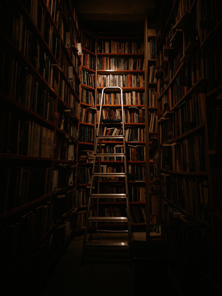 Photograph by Pâmela Santos