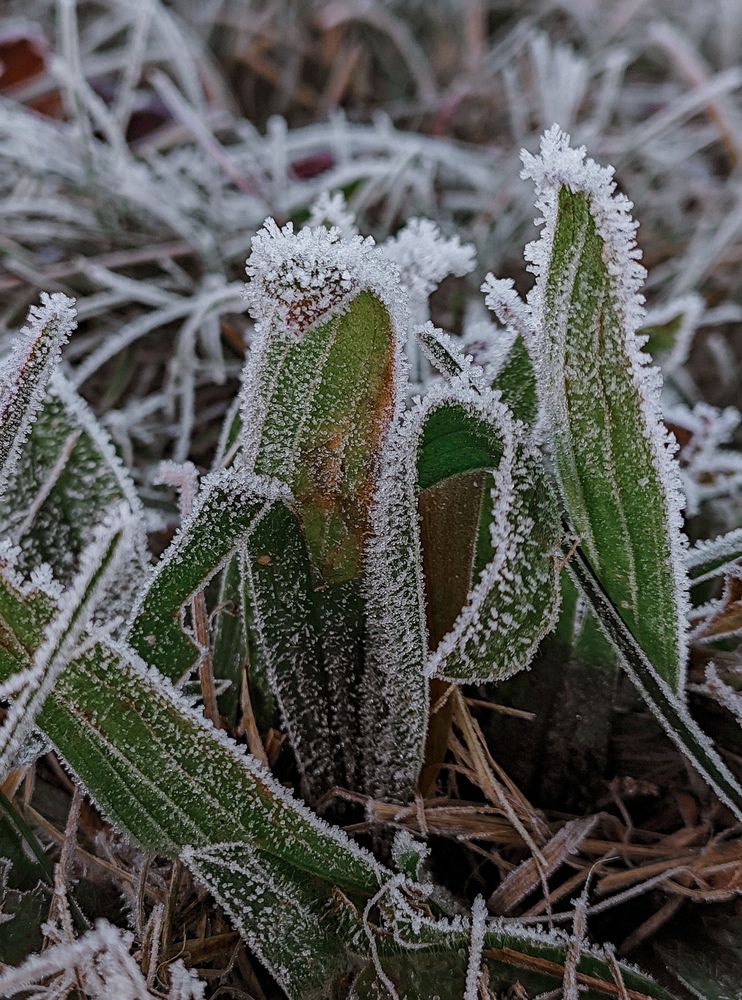 Фотография автора Svetlana Fomenko
