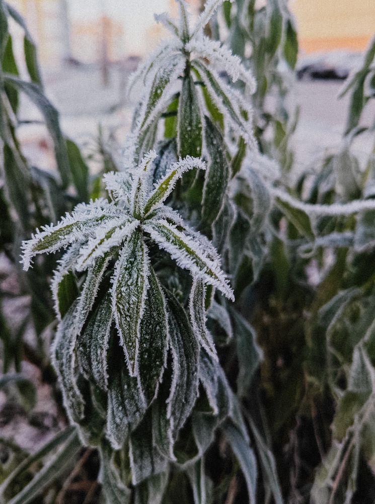 Фотография автора Svetlana Fomenko