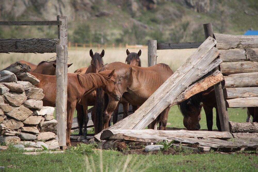Photograph by Наталья Сорокина
