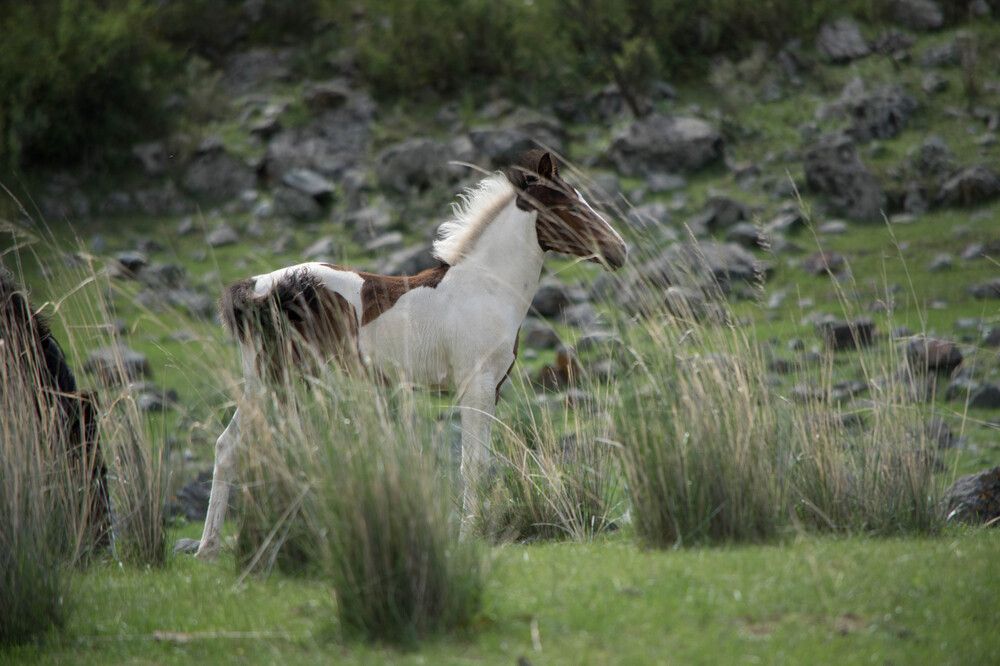 Photograph by Наталья Сорокина