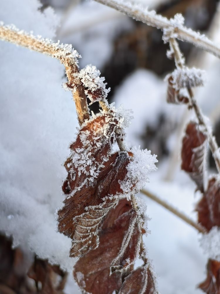 Photograph by Ольга Зимарина