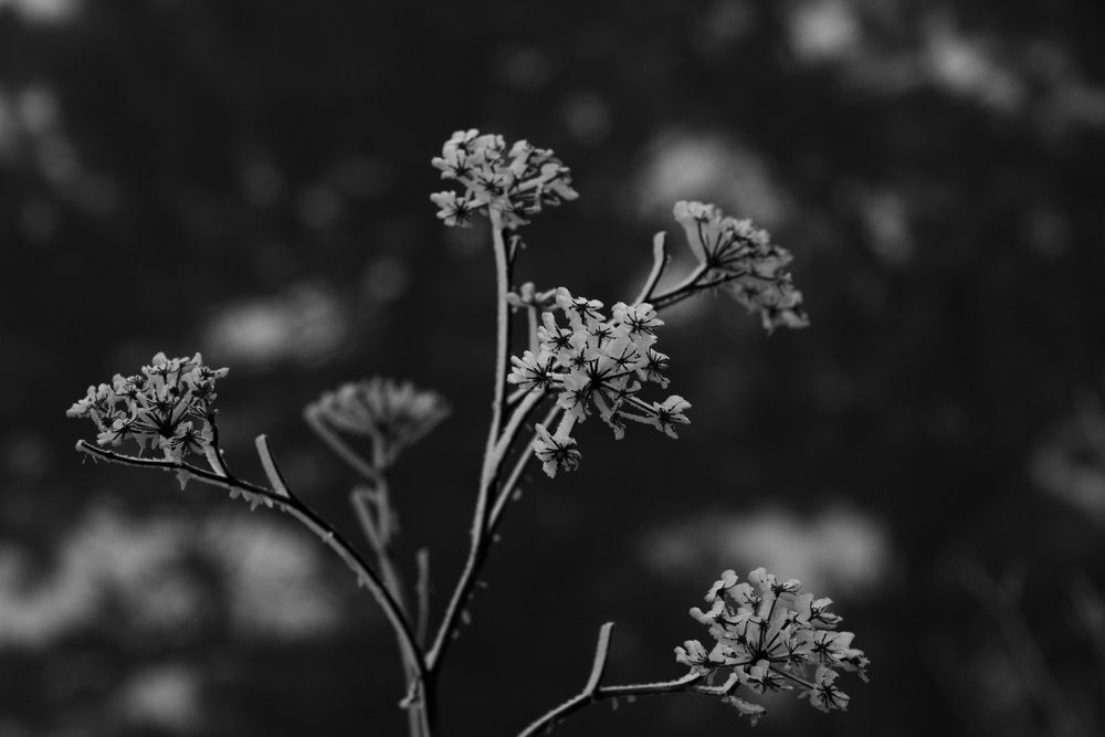 Photograph by Игорь Сидун