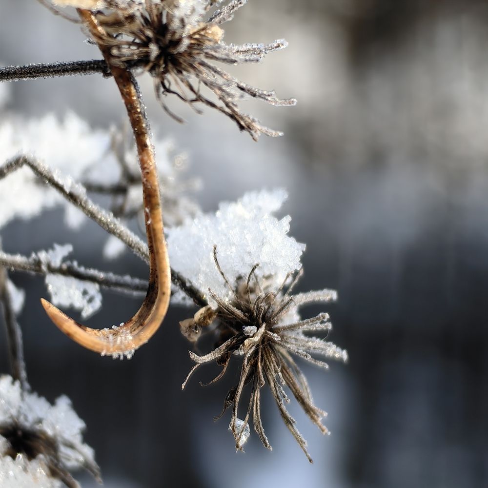 Photograph by Ольга Зимарина