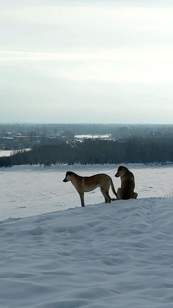 Photograph by Наталья Филянина