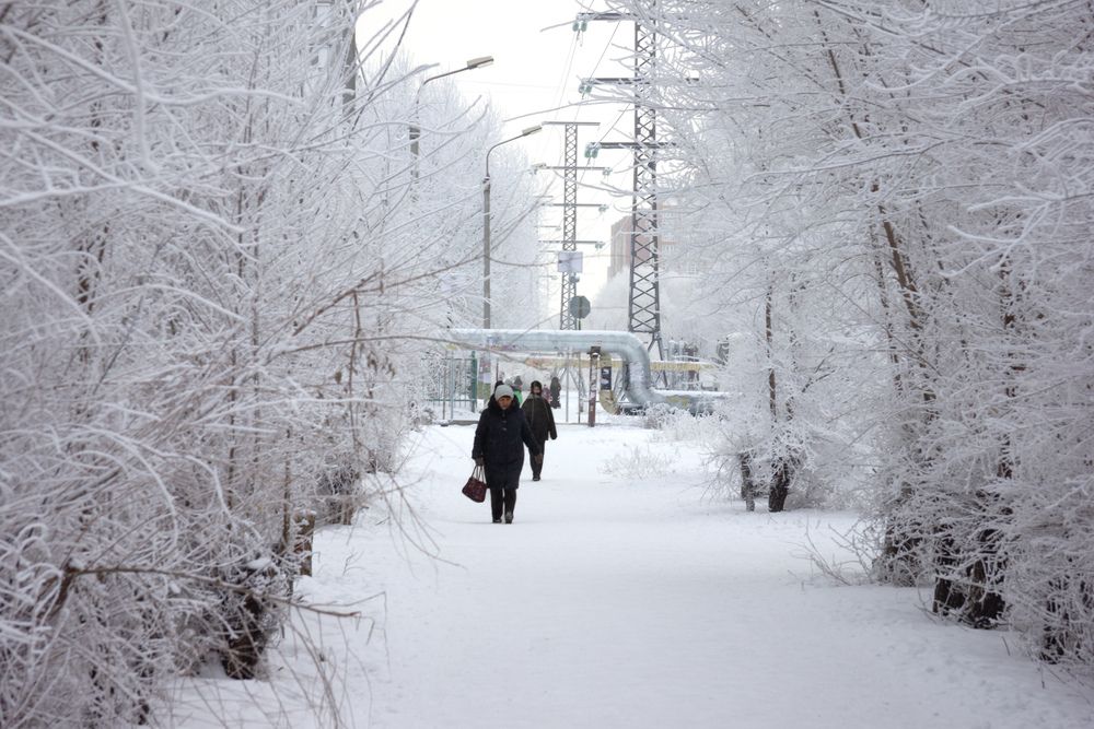 Photograph by Елена Абрамова