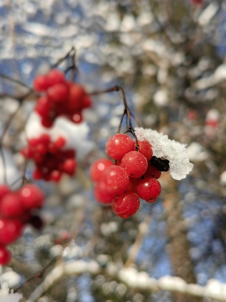 Photograph by Ольга Зимарина