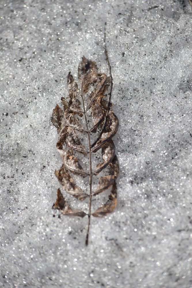 Photograph by Наталья Сорокина