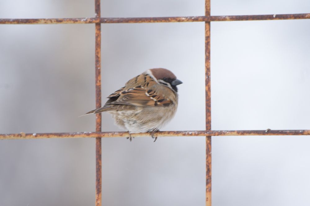 Photograph by Наталья Сорокина