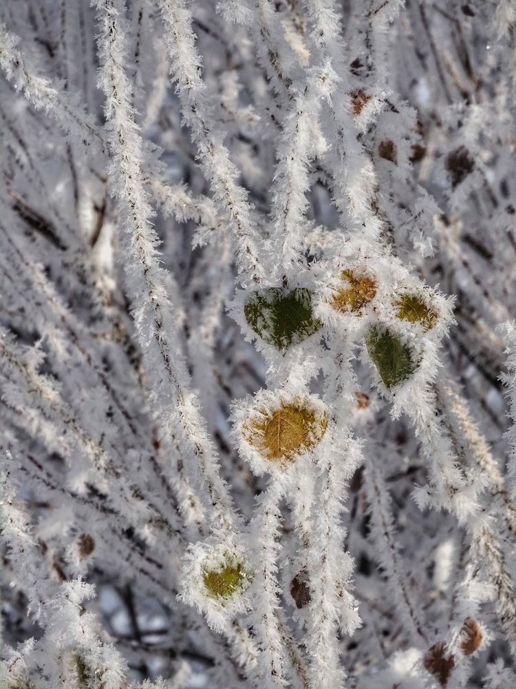 Photograph by Сергей Пермин