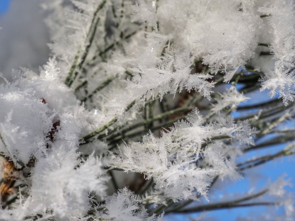 Photograph by Сергей Пермин