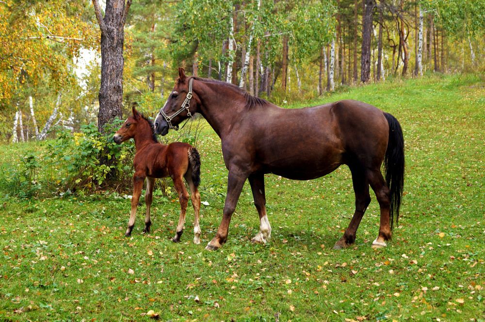 Фотография автора Мишустина Татьяна