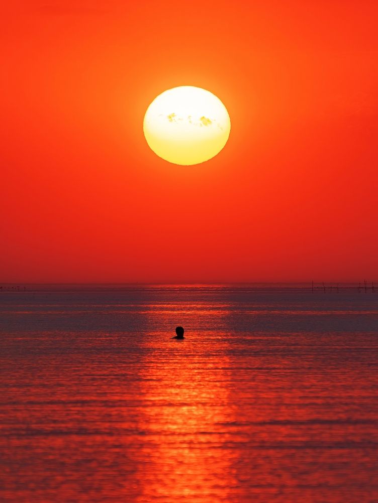 Photograph by Михаил Косолапов