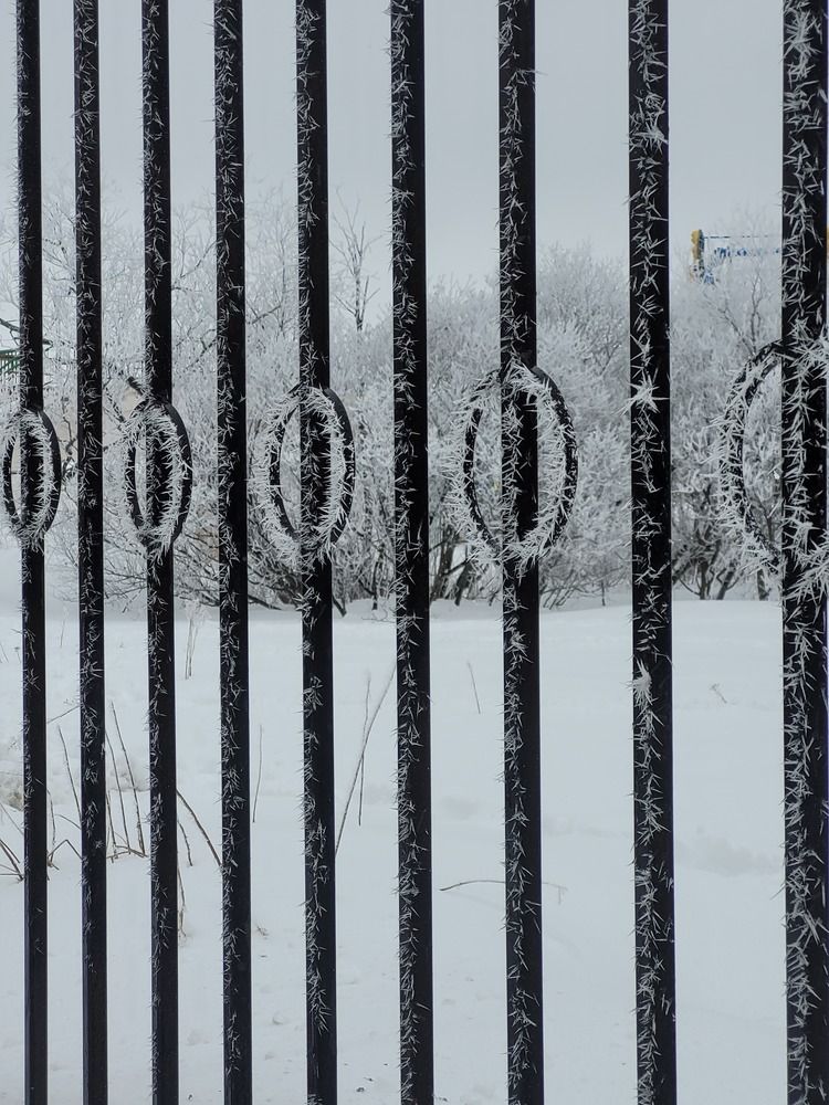 Фотография автора Людмила Казакова