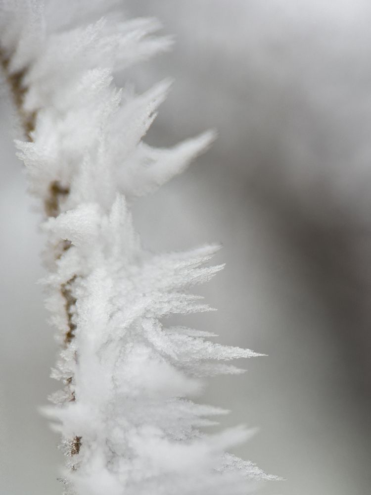 Photograph by Анна Голубцова