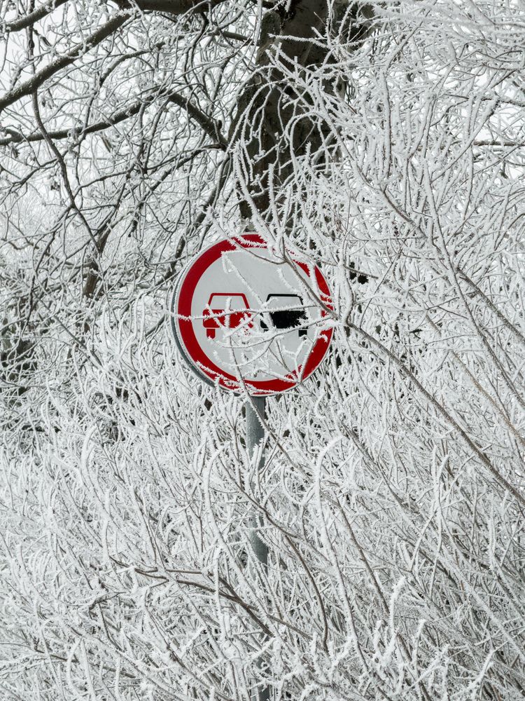 Photograph by Анна Голубцова