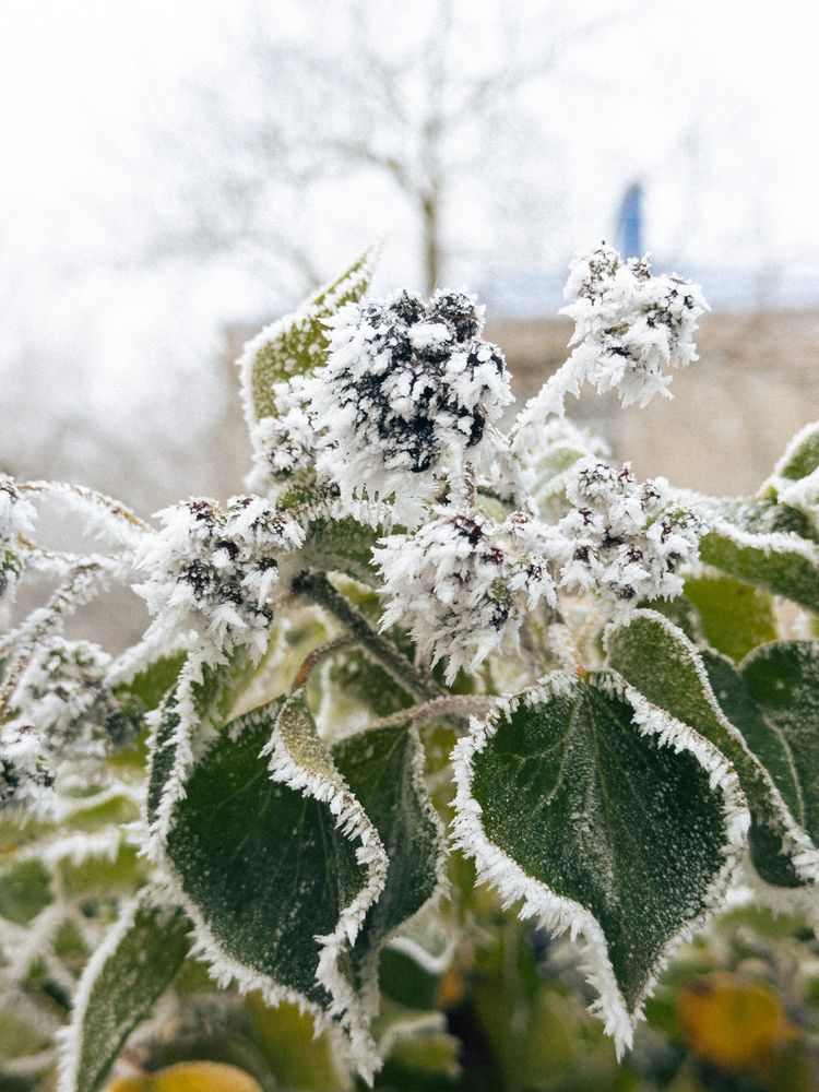 Photograph by Анна Голубцова