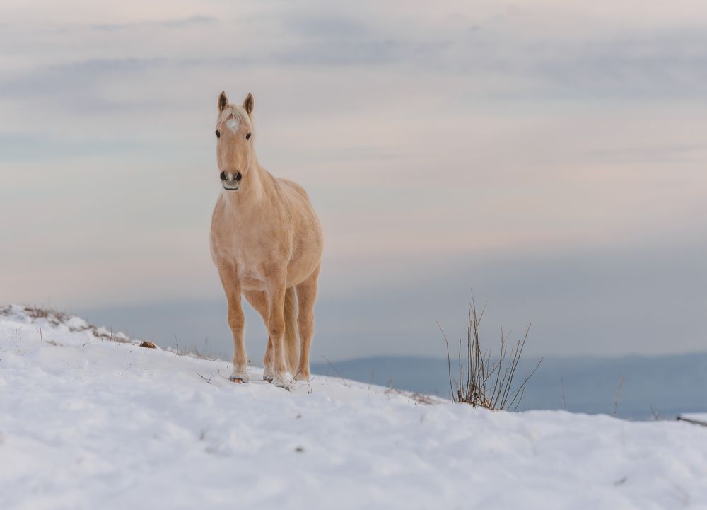 Фотография автора Любовь Похабова
