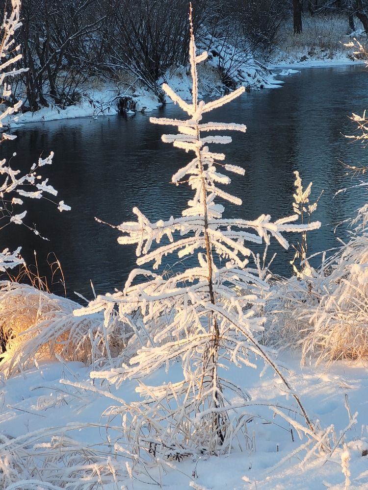 Фотография автора Людмила Казакова