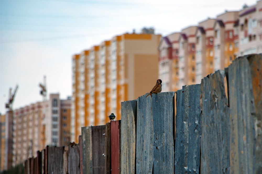 Фотография автора Игорь Кот