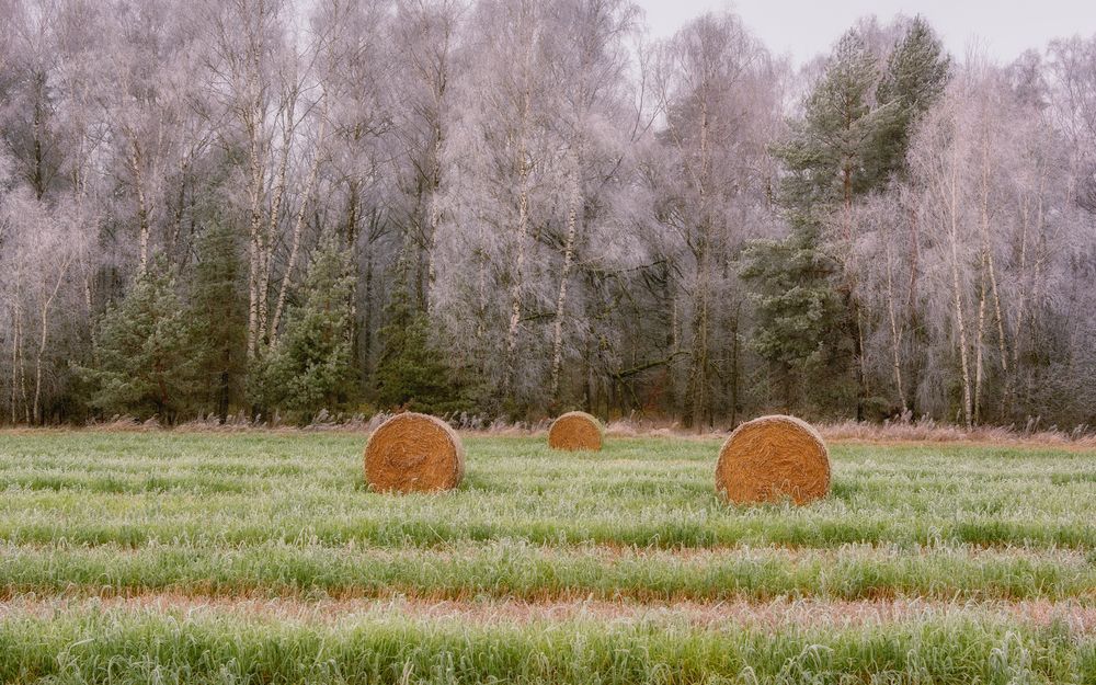 Photograph by Сергей Дишук