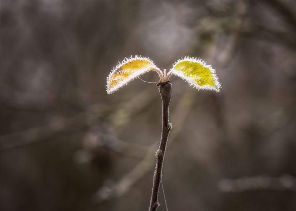 Photograph by Сергей Дишук