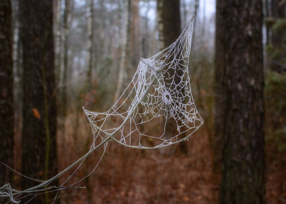 Photograph by Сергей Дишук