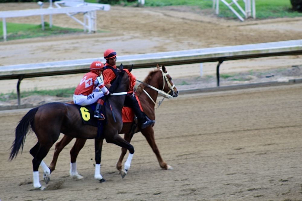 Фотография автора Jose Otero