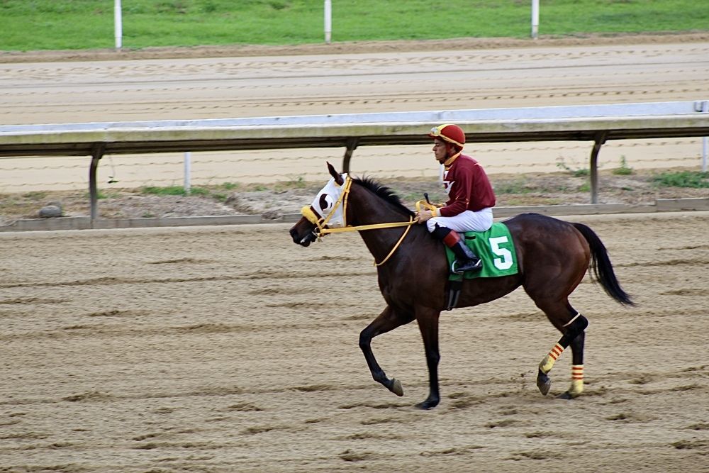 Фотография автора Jose Otero