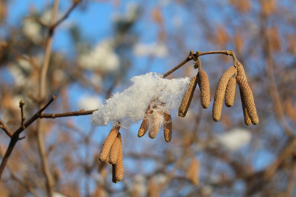 Photograph by Любовь Войводич